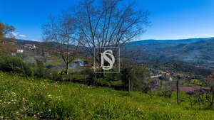 Terreno Rstico T0 - Ancede, Baio, Porto - Miniatura: 23/25