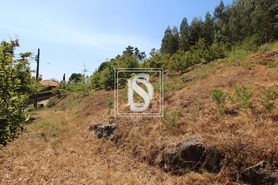 Terreno Rstico T0 - Salvador do Monte, Amarante, Porto - Miniatura: 1/7