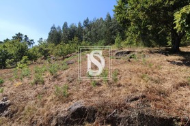 Terreno Rstico T0 - Salvador do Monte, Amarante, Porto - Miniatura: 2/7