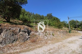 Terreno Rstico T0 - Salvador do Monte, Amarante, Porto - Miniatura: 4/7
