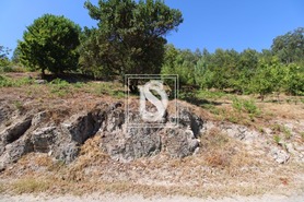 Terreno Rstico T0 - Salvador do Monte, Amarante, Porto - Miniatura: 5/7