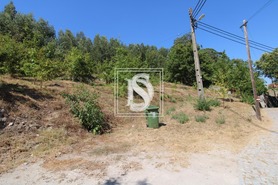 Terreno Rstico T0 - Salvador do Monte, Amarante, Porto - Miniatura: 6/7