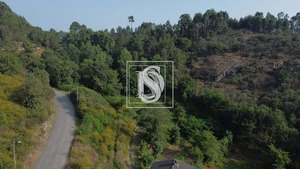 Terreno Urbano T0 - Real, Amarante, Porto - Miniatura: 1/6