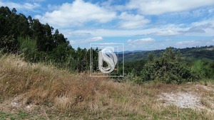 Terreno Rstico T0 - Gouveia (So Simo), Amarante, Porto - Miniatura: 3/21