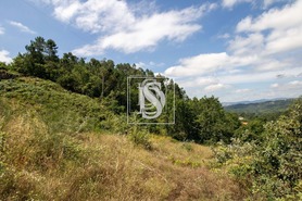 Terreno Rstico T0 - Gouveia (So Simo), Amarante, Porto - Miniatura: 17/21