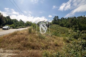 Terreno Rstico T0 - Gouveia (So Simo), Amarante, Porto - Miniatura: 20/21