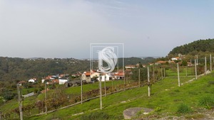 Terreno Urbano T0 - JAZENTE, Amarante, Porto - Miniatura: 5/20