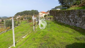 Terreno Urbano T0 - JAZENTE, Amarante, Porto - Miniatura: 13/20