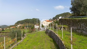 Terreno Urbano T0 - JAZENTE, Amarante, Porto - Miniatura: 17/20