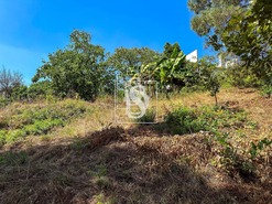 Terreno Rstico T0 - Lufrei, Amarante, Porto - Miniatura: 4/11