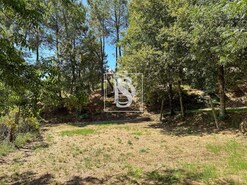 Terreno Rstico T0 - Lufrei, Amarante, Porto - Miniatura: 6/11