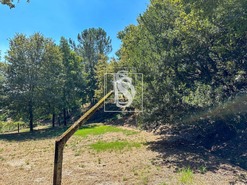 Terreno Rstico T0 - Lufrei, Amarante, Porto - Miniatura: 8/11