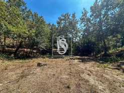 Terreno Rstico T0 - Lufrei, Amarante, Porto - Miniatura: 9/11