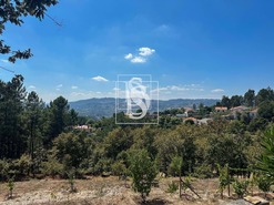 Terreno Rstico T0 - Lufrei, Amarante, Porto - Miniatura: 11/11