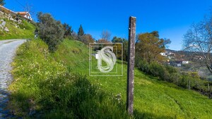 Terreno R�stico T0 - Ancede, Bai�o, Porto - Miniatura: 2/25