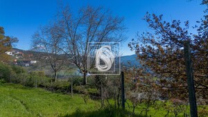 Terreno R�stico T0 - Ancede, Bai�o, Porto - Miniatura: 3/25