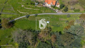 Terreno R�stico T0 - Ancede, Bai�o, Porto - Miniatura: 11/25