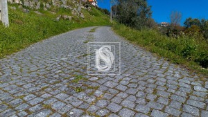 Terreno R�stico T0 - Ancede, Bai�o, Porto - Miniatura: 22/25