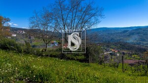 Terreno R�stico T0 - Ancede, Bai�o, Porto - Miniatura: 23/25