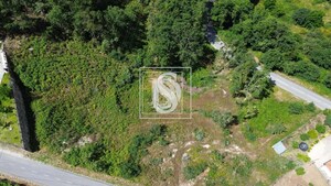 Terreno R�stico T0 - Gouveia (S�o Sim�o), Amarante, Porto - Miniatura: 1/21