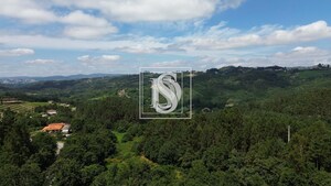 Terreno R�stico T0 - Gouveia (S�o Sim�o), Amarante, Porto - Miniatura: 6/21