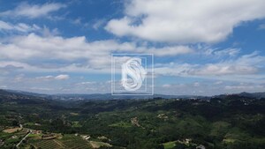 Terreno R�stico T0 - Gouveia (S�o Sim�o), Amarante, Porto - Miniatura: 13/21