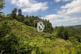 Terreno R�stico T0 - Gouveia (S�o Sim�o), Amarante, Porto - Miniatura: 15/21