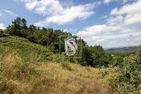 Terreno R�stico T0 - Gouveia (S�o Sim�o), Amarante, Porto - Miniatura: 17/21