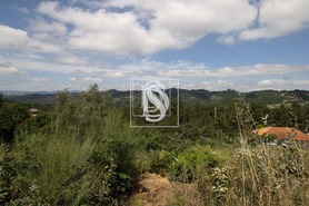 Terreno R�stico T0 - Gouveia (S�o Sim�o), Amarante, Porto - Miniatura: 18/21