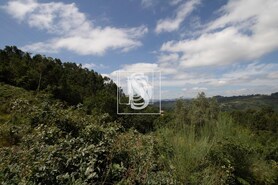 Terreno R�stico T0 - Gouveia (S�o Sim�o), Amarante, Porto - Miniatura: 19/21