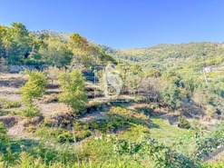 Apartamento T0 - Santa Cruz do Douro, Baio, Porto - Miniatura: 20/50