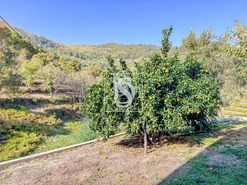 Apartamento T0 - Santa Cruz do Douro, Baio, Porto - Miniatura: 21/50