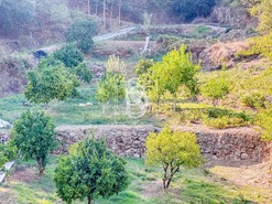 Apartamento T0 - Santa Cruz do Douro, Baio, Porto - Miniatura: 40/50