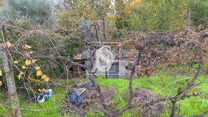 Moradia T3 - Vila Ch do Maro, Amarante, Porto - Miniatura: 48/66