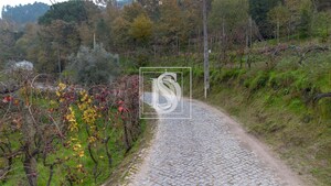 Moradia T3 - Vila Ch do Maro, Amarante, Porto - Miniatura: 61/66