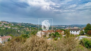 Terreno Rstico T0 - Amarante, Amarante, Porto - Miniatura: 23/26