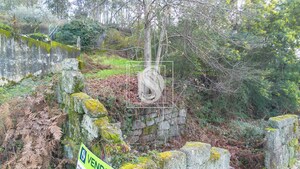 Terreno Rstico T0 - Salvador do Monte, Amarante, Porto - Miniatura: 5/16