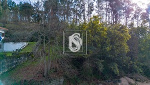 Terreno Rstico T0 - Salvador do Monte, Amarante, Porto - Miniatura: 6/16