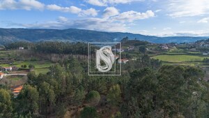 Terreno Rstico T0 - Salvador do Monte, Amarante, Porto - Miniatura: 8/16