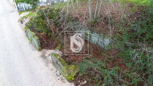 Terreno Rstico T0 - Salvador do Monte, Amarante, Porto - Miniatura: 10/16