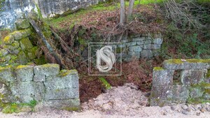 Terreno Rstico T0 - Salvador do Monte, Amarante, Porto - Miniatura: 11/16