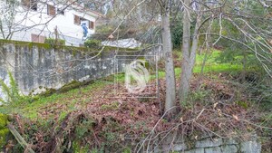 Terreno Rstico T0 - Salvador do Monte, Amarante, Porto - Miniatura: 12/16