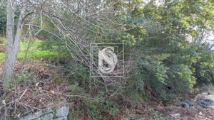 Terreno Rstico T0 - Salvador do Monte, Amarante, Porto - Miniatura: 13/16