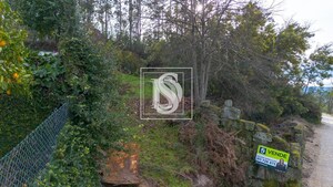 Terreno Rstico T0 - Salvador do Monte, Amarante, Porto - Miniatura: 14/16