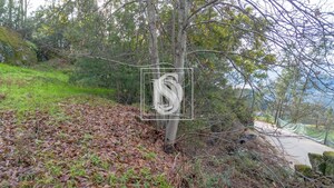 Terreno Rstico T0 - Salvador do Monte, Amarante, Porto - Miniatura: 16/16