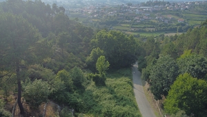 Terreno R�stico - Vila Me�, Amarante, Porto - Miniatura: 3/6