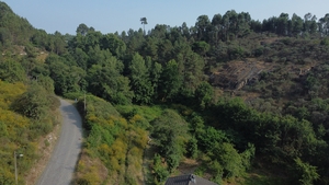 Terreno R�stico - Vila Me�, Amarante, Porto - Miniatura: 6/6