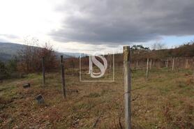 Terreno R�stico - Salvador do Monte, Amarante, Porto - Miniatura: 15/15