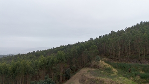 Terreno R�stico - Vandoma, Paredes, Porto - Miniatura: 2/24