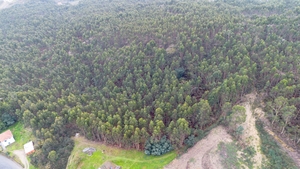 Terreno R�stico - Vandoma, Paredes, Porto - Miniatura: 23/24